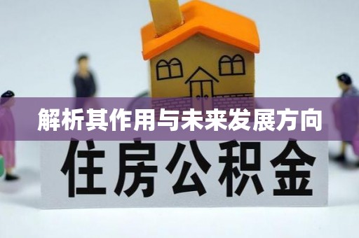 奇台解析其作用与未来发展方向